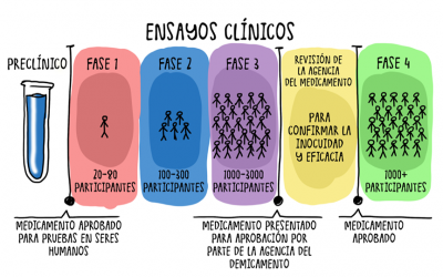 Anatomía aplicada: “salud y enfermedad”