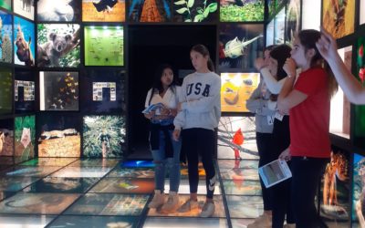 Excursión de 2º ESO a Torre Madariaga