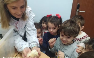Un nuevo pollito ha nacido en el cole