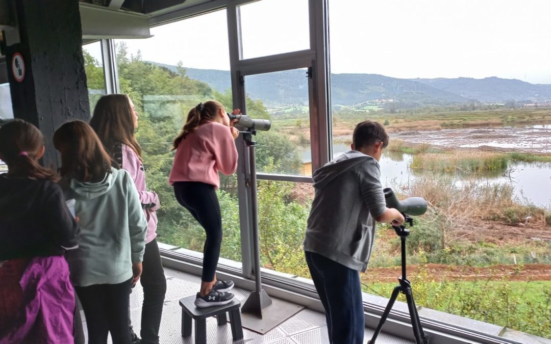Excursión al Bird Center